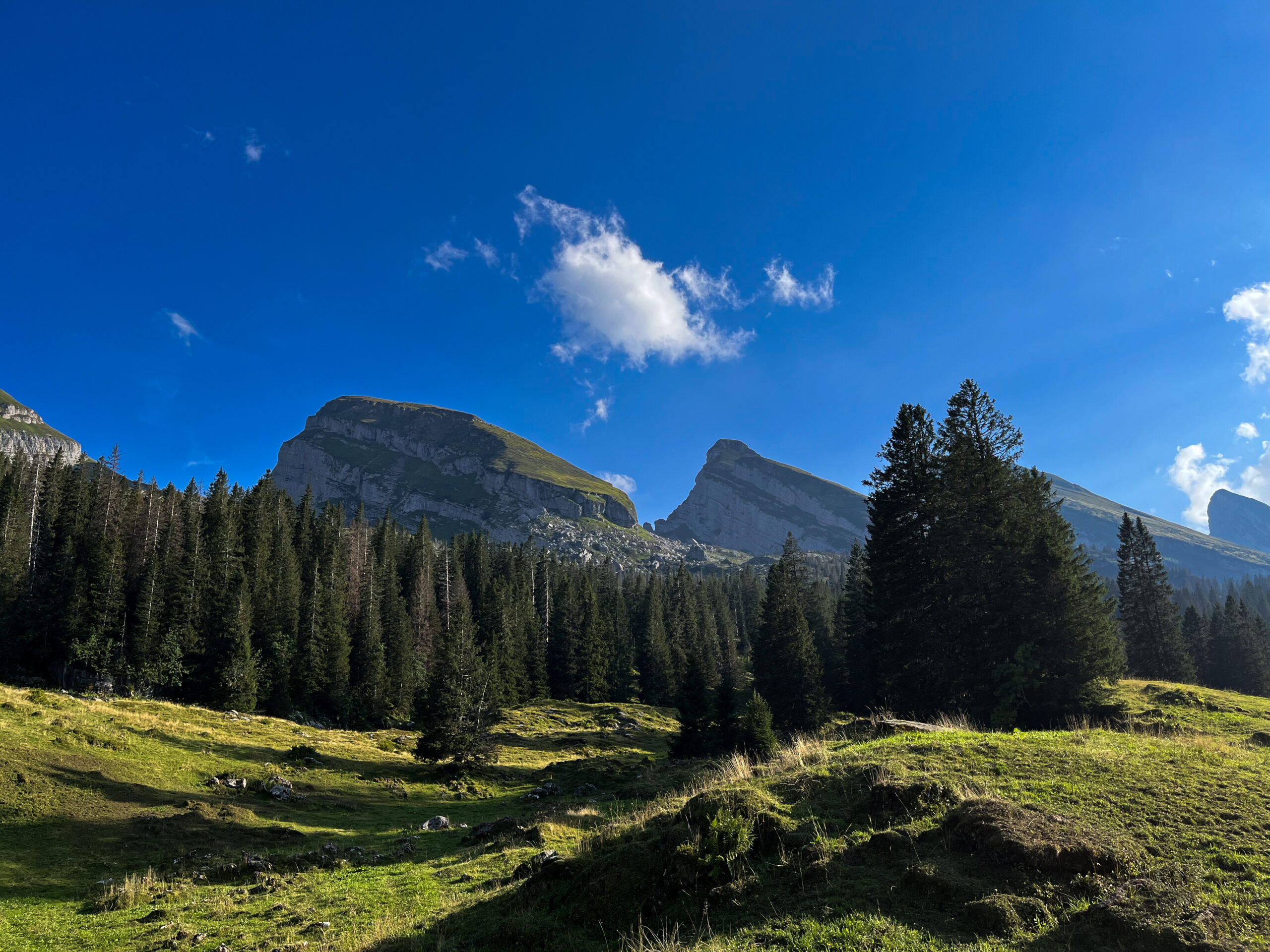 Churfirsten-Toggenburg
