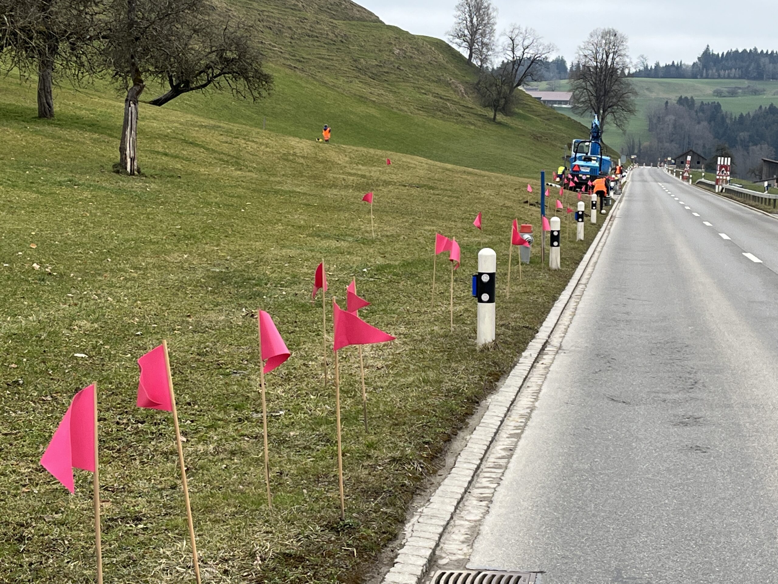 Littering Aktion Mosnang - jedes Fähnchen ein Fetzchen