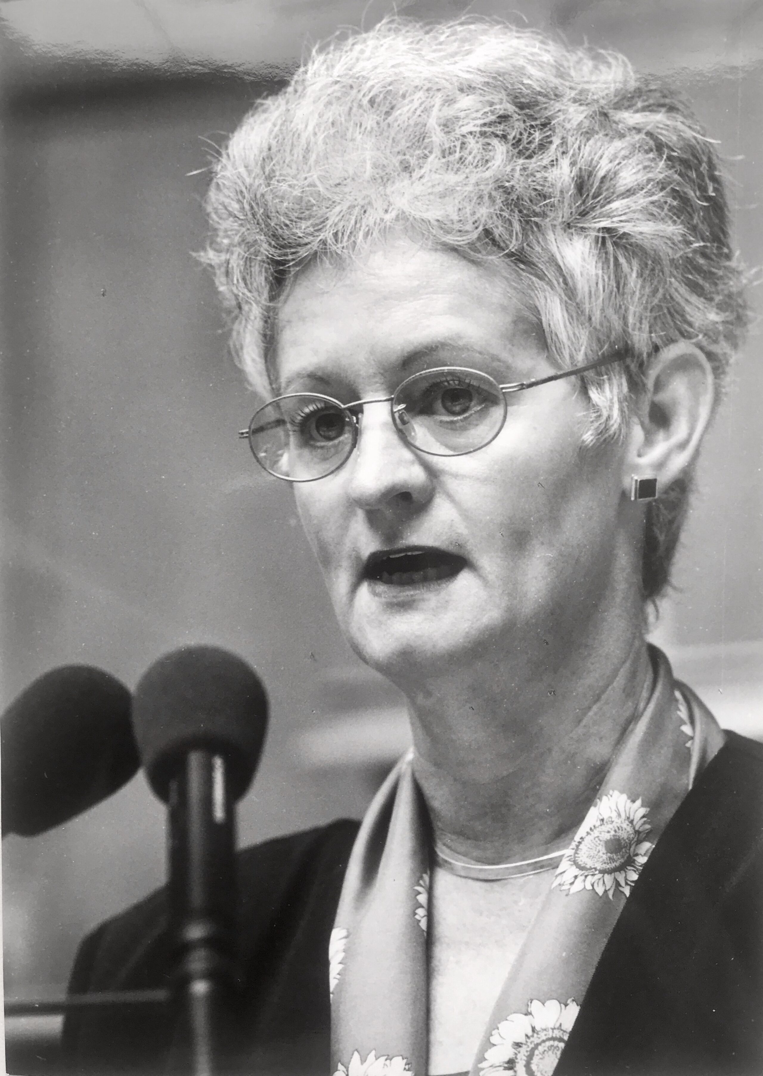 Pia Hollenstein, Nationalrätin GRÜNE SG, 1991-2006