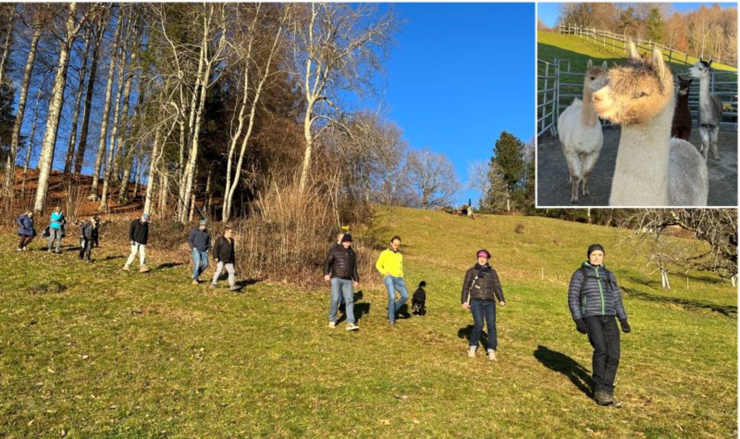 Neujahrswanderung der Grünen Linth und Toggenburg